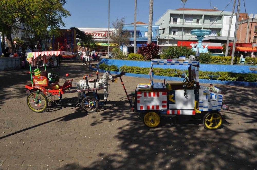 Foto - Inauguração da Estátua de Anesia Pinheiro Machado em Itapetininga em 16/07/2011
